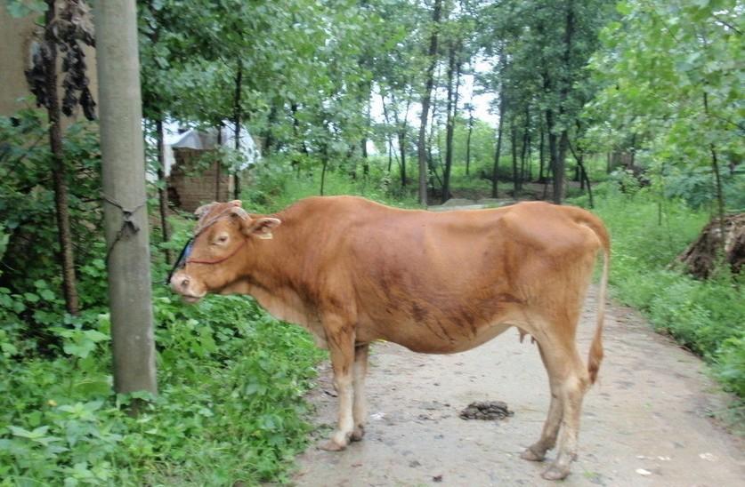 玉环最新求一个套医保卡的黄牛是真的吗方法分析(最方便真实的玉环求一个套医保卡的黄牛是真的吗还是假的方法)